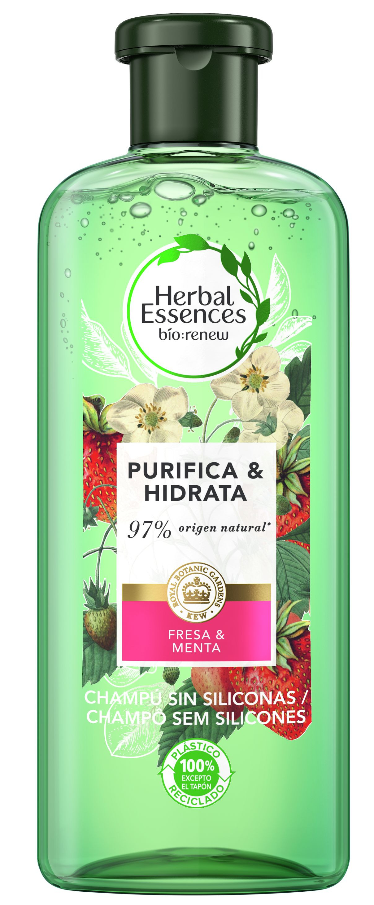 herbal essences szampon cena