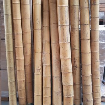 bambusowa